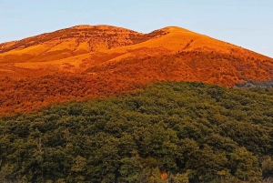 Butrint, Blaues Auge und Burg Lekursi: Natur und Geschichte an einem Tag