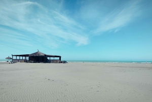 Tirana to Bylis & Apollonia: Private day trip