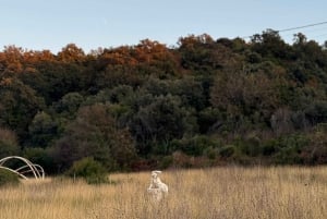 Rodonin niemi: kaunis auringonlasku ja rantamatkapäivä Tiranasta