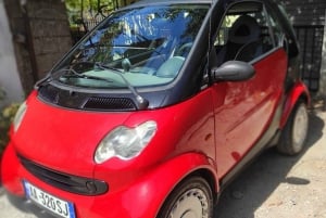 Car Rental
