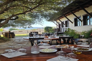 City & Castle Tour + Wine & Raki Tasting Experience