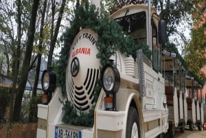 City Train Albania - In the Park