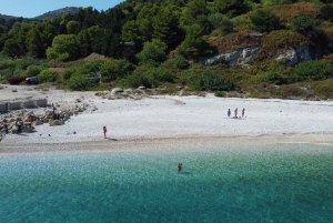 Clare: Ilha Sazan e viagem de lancha Karaburun e mergulho com snorkel