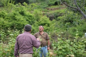 Vanuit Berat: Rondleiding door wijnmakerij met transfers en proeverijen