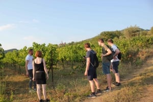 Degustação de vinhos em Berat: Tour Clássico