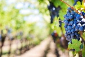 Vinsmaking i Berat: Klassisk tur