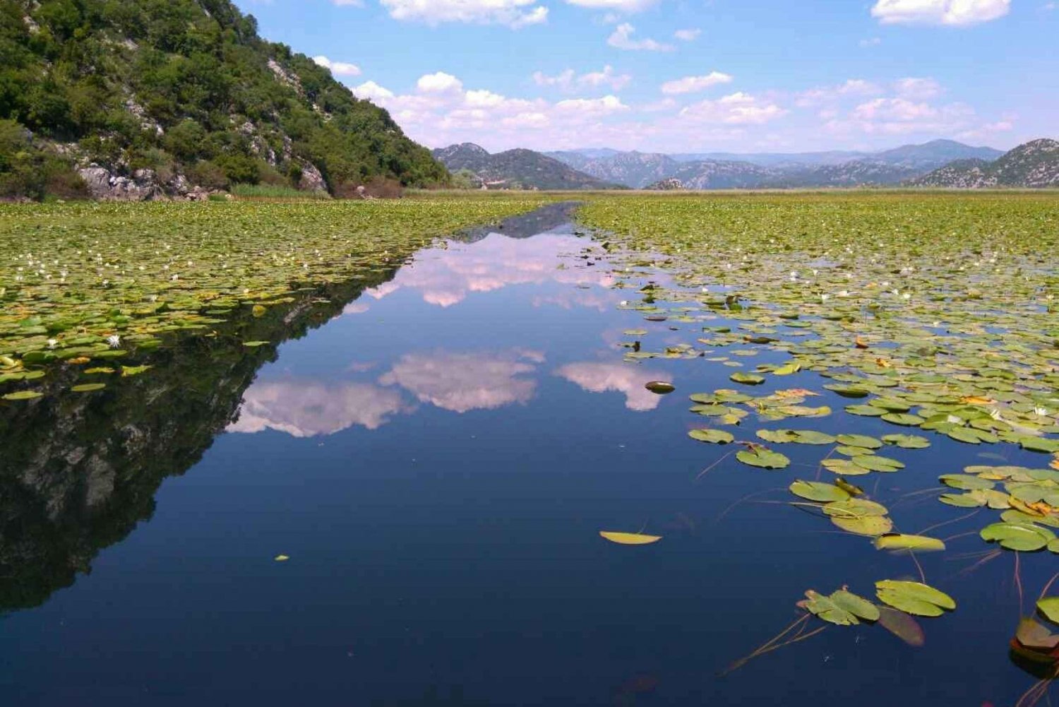 Kotor: Parque Nacional do Lago Skadar com degustação de vinhos