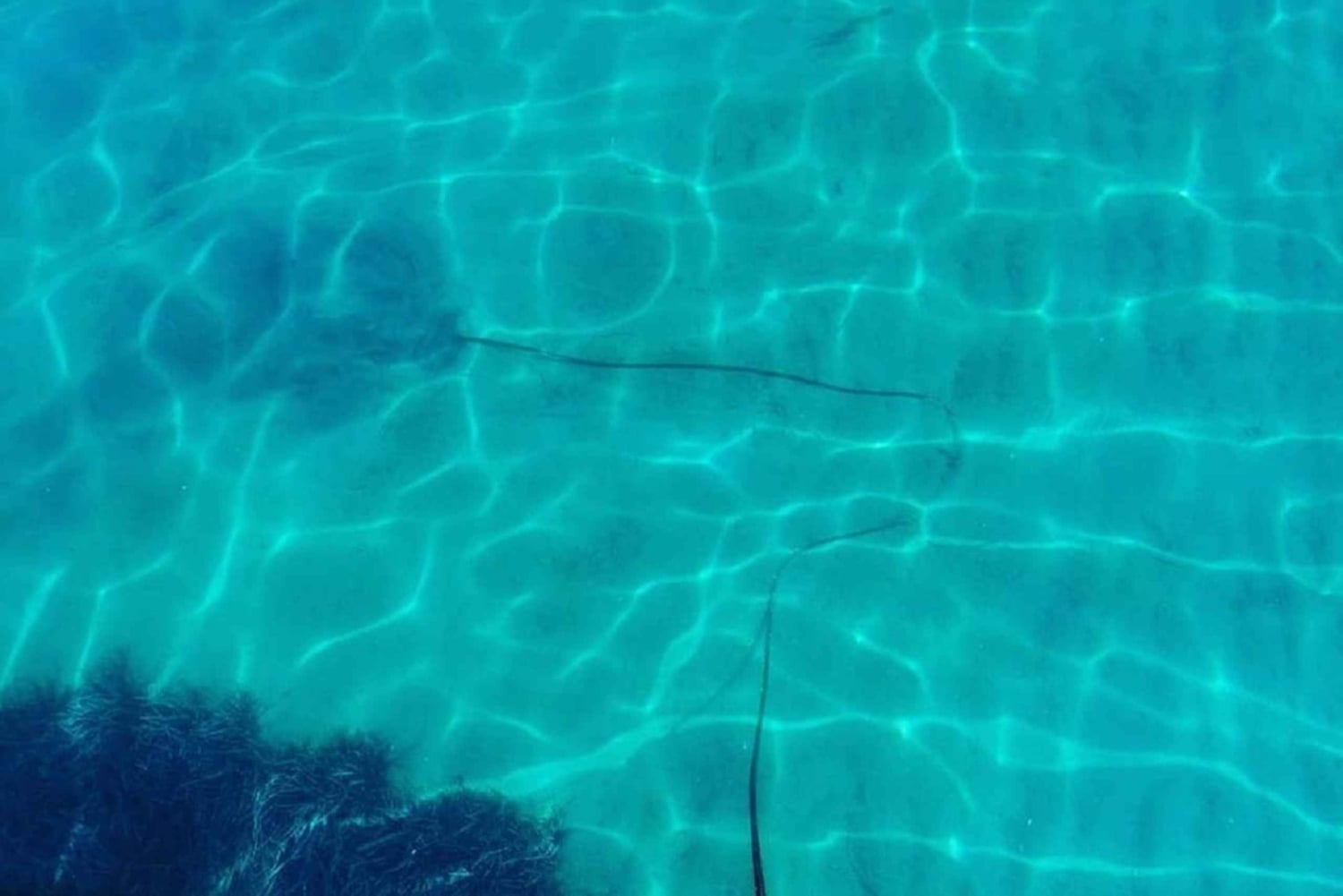 Korfu: Privat krydstogt med sejlbåd