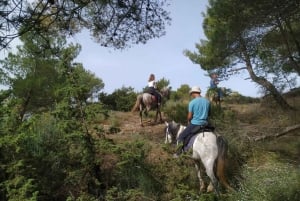 Countryside Horseback Ride in Gjinofshat