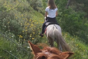 Countryside Horseback Ride in Gjinofshat