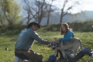 Countryside Horseback Ride in Gjinofshat