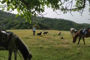 Countryside Horseback Ride in Gjinofshat
