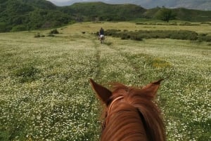 Countryside Horseback Ride in Gjinofshat