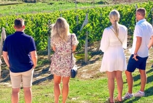 From Durres/Tirana: Countryside Wine & Food Tasting Tour