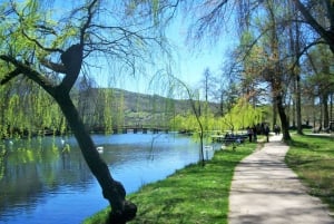 From Tirana: Ohrid Lake -Drilon -Lin -Pogradec.