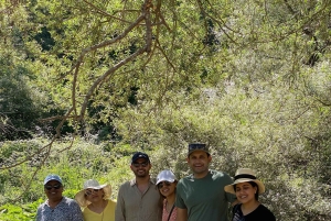 Tour giornaliero al Parco Nazionale di Butrint - Occhio Blu - Castello di Lekuresi