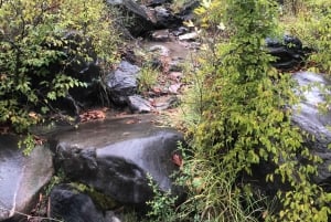 Tour della funivia del Dajti e della cascata di Shengjergj con pranzo