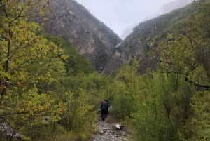 Tour della funivia del Dajti e della cascata di Shengjergj con pranzo