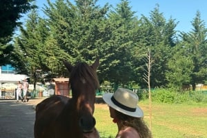 Tour della funivia del Dajti e della cascata di Shengjergj con pranzo
