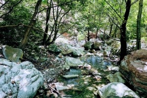 Dajti Mountain & Shengjergj Waterfall Day Trip on Land Rover