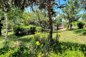 Dajti Mountain & Shengjergj Waterfall Day Trip on Land Rover