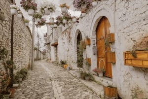 Excursión de un día a Apolonia y Berat desde Tirana