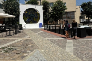 Day Tour of Kosovo Pristina & Prizren from Tirana