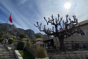 Однодневная экскурсия в Крую и Шкодер — наследие Северной Албании