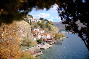 From Tirana: Day tour of Ohrid & Struga