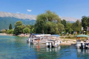 From Tirana: Day tour of Ohrid & Struga