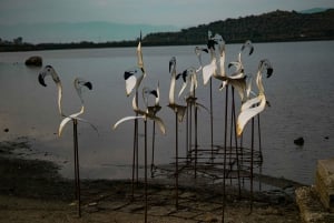 Day tour to: Apollonia, Narta Lagoon & Zvernec Monastery