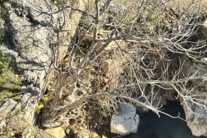 Day Tour to Permet Thermal Baths and Langarica Canyon