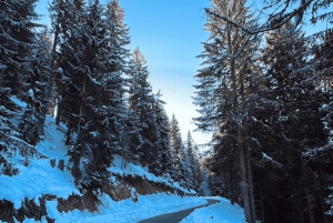 Lago Komani e Rio Shala: de Shengjin e Shkodra, 1 dia