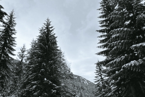 Lago Komani e Rio Shala: de Shengjin e Shkodra, 1 dia