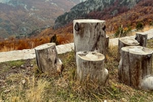 Day trip in the Albanian Alps:Boge ,Theth&Blue eye