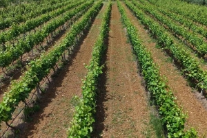 Откройте для себя волшебство Албании: 2-дневный тур по 84 живописным озерам