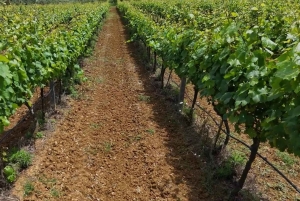 Откройте для себя волшебство Албании: 2-дневный тур по 84 живописным озерам