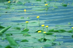 Откройте для себя волшебство Албании: 2-дневный тур по 84 живописным озерам