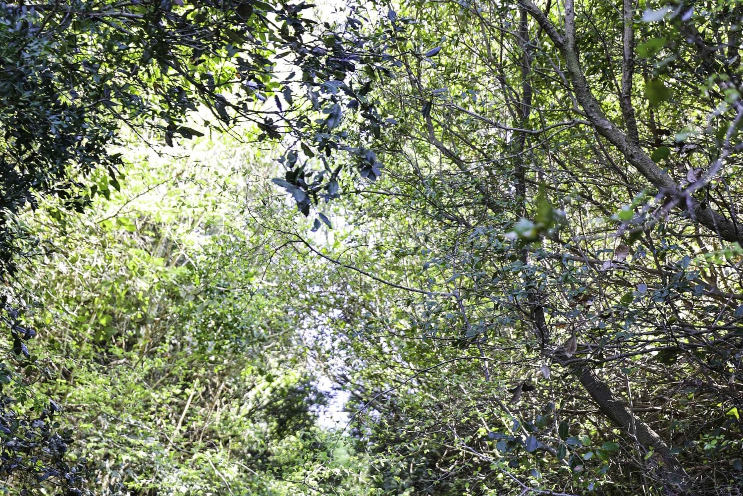 DURRES 90分：カームでのバンカー見学付き4x4サファリツアー