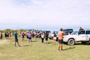 DURRES 90分：カームでのバンカー見学付き4x4サファリツアー
