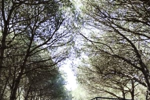 DURRES 90分：カームでのバンカー見学付き4x4サファリツアー