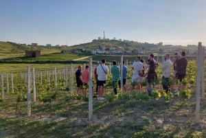 From Durres/Tirana: Countryside Wine & Food Tasting Tour