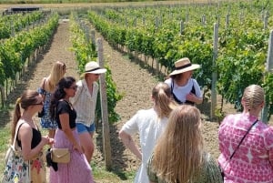 From Durres/Tirana: Countryside Wine & Food Tasting Tour