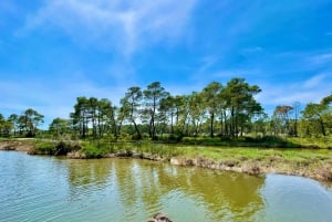 Durres & Karavasta National Park Tour on Luxury Land Rover