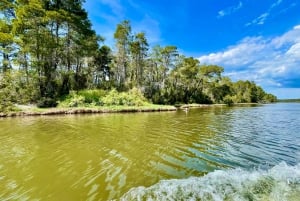 Durres & Karavasta National Park Tour on Luxury Land Rover