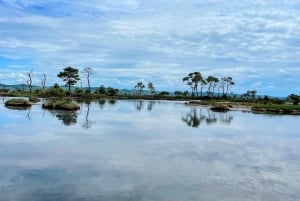 Durres & Karavasta National Park Tour on Luxury Land Rover