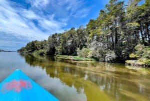 Durres & Karavasta National Park Tour on Luxury Land Rover