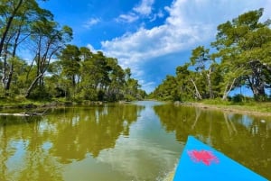 Wycieczka po Parku Narodowym Durres i Karavasta luksusowym Land Roverem
