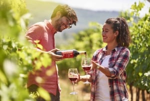 Durrës: Sunset Vineyard Tour with Wine Tasting