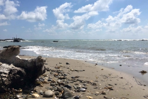 Durrës: Walking Tour and Roman Amphitheater